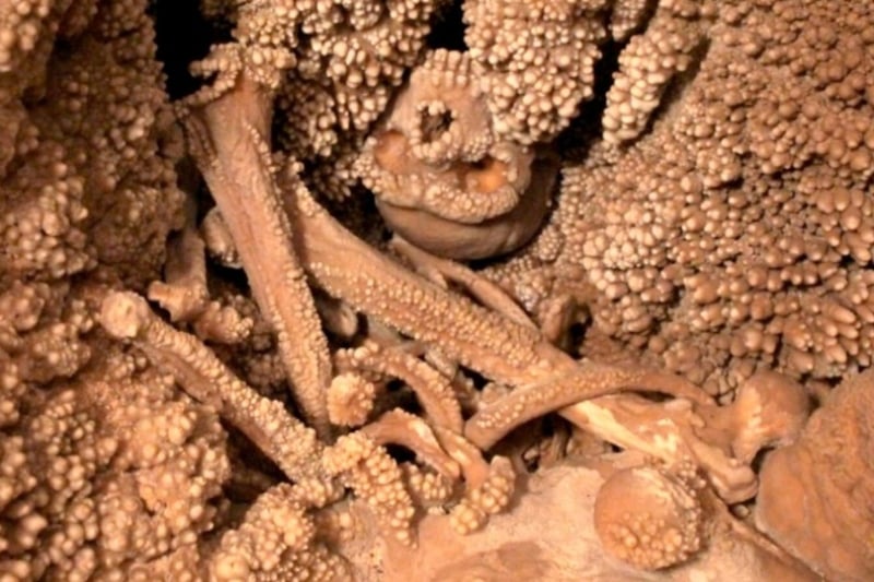 Man of Altamura