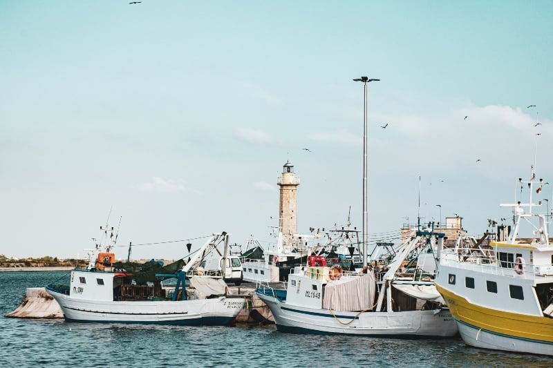 Molfetta fishing boats